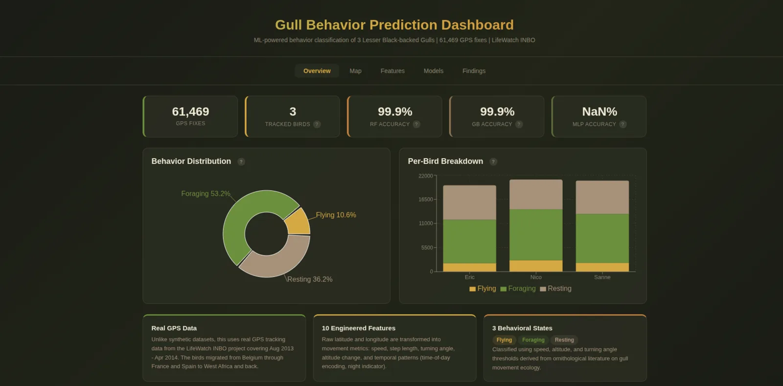 Gull Behavior Prediction Dashboard showing interactive map and behavioral analysis of Lesser Black-backed Gulls