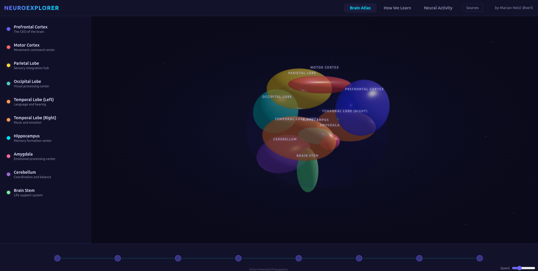 NeuroExplorer 3D brain atlas showing colorful brain regions