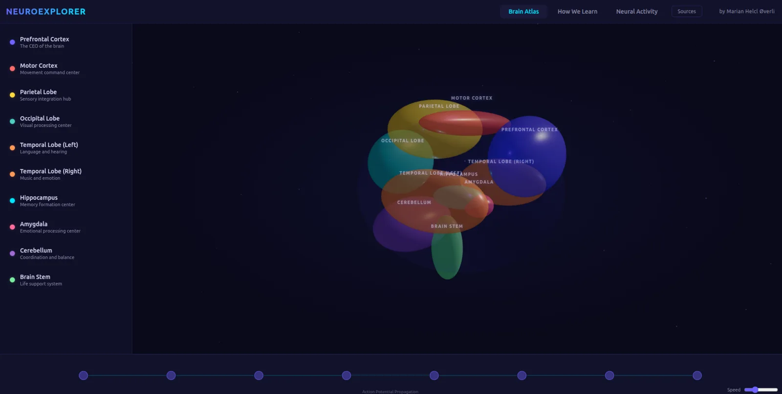 NeuroExplorer 3D brain atlas showing colorful brain regions